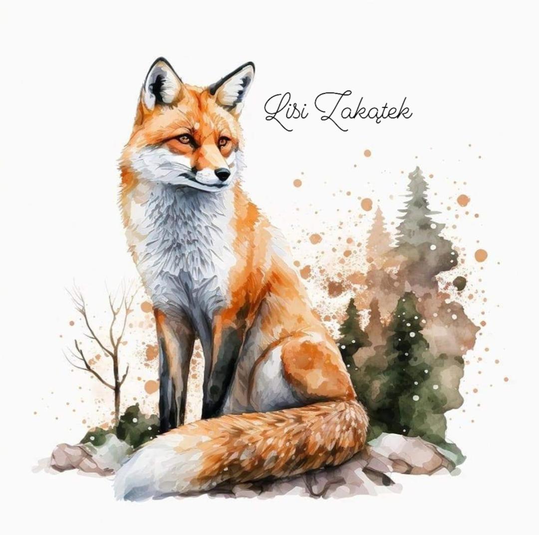 차르나 Lisi Zakatek 빌라 외부 사진
